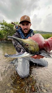 Most Red Fish on EARTH! #salmon #fishing #alaska #crazy #fish | Ryan Iz Fishing