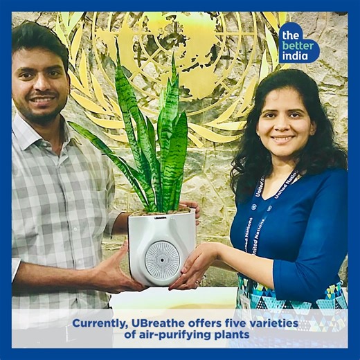 ‘Smart Plant’ Can Purify The Air in Your Room in Just 20 Minutes. Built by a Delhi-based startup, UBreathe that amplifies the natural air purification process present in plants. #ubreathe #airfilters #airpollution #cleantechnology | TheBetterIndia