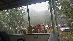 The Gorilla man (@musanagorillaman)’s videos with original sound - The Gorilla man