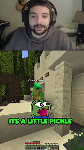 ty for 200k, here is cheappickle being confused about pickle montage #minecraft #youtube #cheappickle @cheappickle