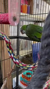 19K views · 573 reactions | Cooper is a super talkative 16-year-old...