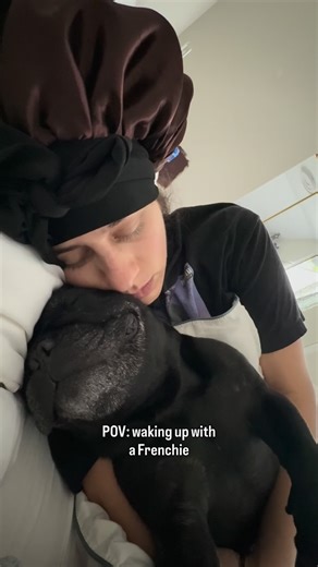 Oatie Meal | The Frenchie on Instagram: "Do snorts help u sleep or keep u up? 🐽🔊 #frenchbulldog #frenchie #frenchiesofinstagram #dogsofinstagram #dogmom snoring frenchie snorts bulldog sleeping"