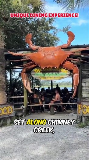Experience the Unique Vibe of The Crab Shack! #shorts