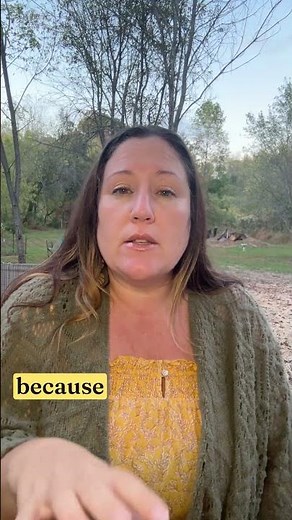 Feeling Misaligned? Your Waveform Is Calling You Back to Coherence