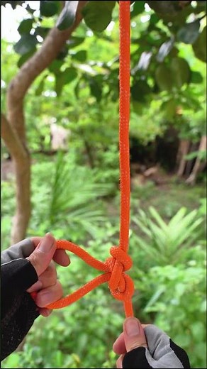 Most Popular Knots You Need to Know. #knot #rope #knottying #camping #survival