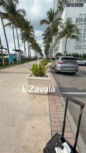 Exploring Zavala's Color Calendar and Memorable Moments