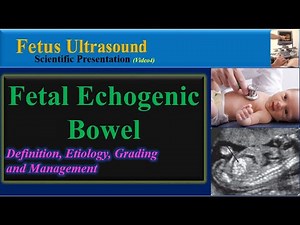 Fetus Ultrasound , Fetal Echogenic Bowel