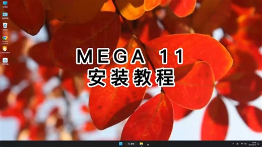 教你正确安装MEGA 11，一步步教你装好MEGA 11！