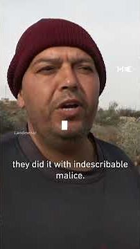 Israeli forces uproot olive trees in occupied West Bank