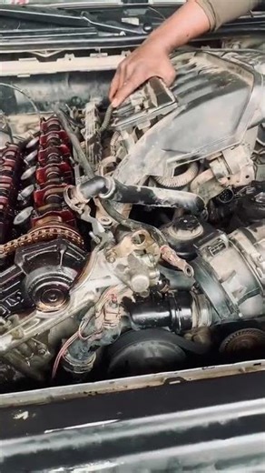 BMW e46 timing adjustment.