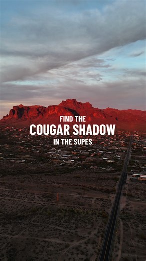 The Cougar Shadow is BACK!! Starting this Sunday, March 15 and going all week long, this supernatural phenomenon will be visible on the Superstitions a few minutes before sunset. Our favorite viewing spot is Goldfield Rd and Superstition Blvd. The prime viewing time is around 6:20, and he doesn't last long. We love bringing a picnic with us and enjoying the nice spring weather. Please remember to pack out all of your trash and respect the area. Have fun!