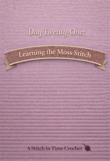 Learn the Moss Stitch for Crochet Beginners