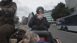 28K views · 169 reactions | Since the beginning of Level 1, Kiwis have been encouraged to play tourists and get out and explore every corner of the country. But what about the places we already live? Laura Daniel hired a unique tour-guide to give her a private tour of the far-off exotic land known as Auckland. | Seven Sharp | Facebook