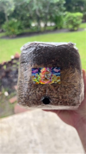 Discover the All-in-One Super Bag for Easy Adventures