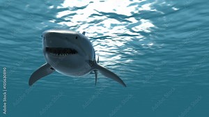 The Great White Shark in the Ocean 3D Animation Stock Video