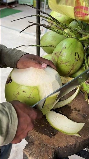 Fresh coconut cutting skill! #shorts #fruit #explore #streetfood #explore