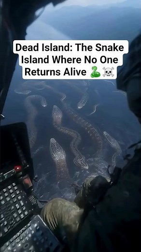 Dead Island: The Snake Island Where No One Returns Alive 🐍☠️#shorts #viral #facts #brazil