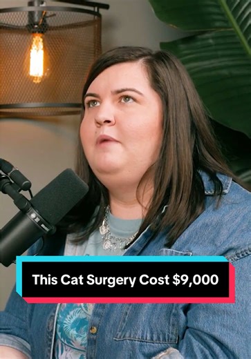 This Cat Surgery Cost $9,000 | cat