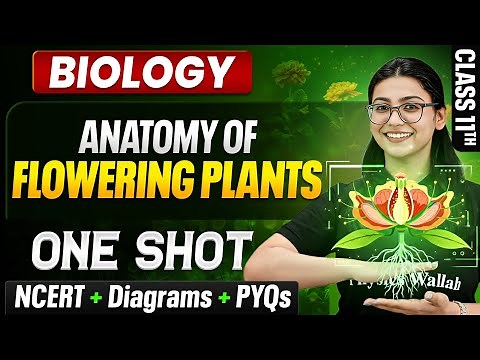Anatomy Of Flowering Plants Class 11 One Shot 🔥| NCERT + Diagrams + PYQs | Chapter 6