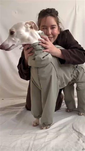 Winter Waterproof Windproof Onesie Italian Greyhound Whippet Clothes