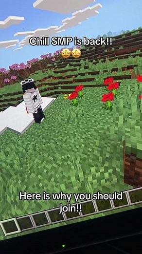 Join the Exciting Chill SMP Adventure Now!