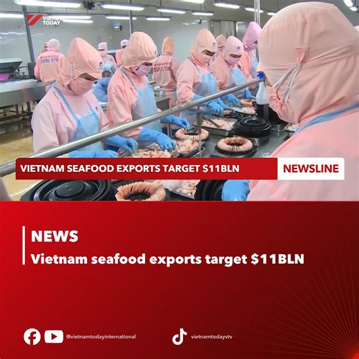 When it comes to Vietnam's key seafood products, despite many challenges, the sector has maintained solid growth. In the volatile international market, especially with US reciprocal tax policies, diversifying supply sources is crucial. Year-end demand for fresh seafood is expected to further boost opportunities for Vietnam's exports. #vietnamtoday #yourwindowonvietnam #vietnam #export #seafood | Vietnam Today
