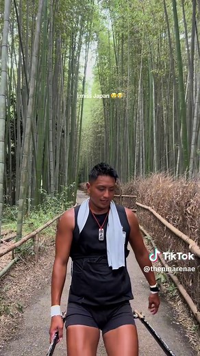 Kyoto Bamboo Forest: A Traveler's Dream