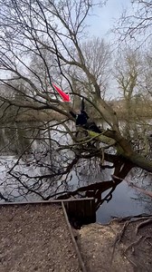 22K views · 307 reactions | How Not To Climb Trees ❌ #Fails #Trending #Funny #TreeClimbingFails #SwingFails | Uncensored Adults | Facebook