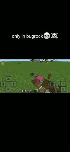 minecraft shulker glitch