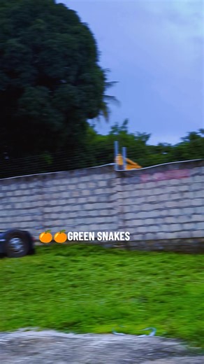 🍊🍊🍊🍊JUICY #musoma #KAHAMA #musomatkitok #MUSOMA #mbeyatiktok🤣🤣 #ROADLIFE #ROADLIFE #ARUSHA #mpanda #ROADLIFE #BUS #KIGOMA @abdullydully@85 @BAROTEL ALLYS @Lee @abdulmsheli @abuumontana