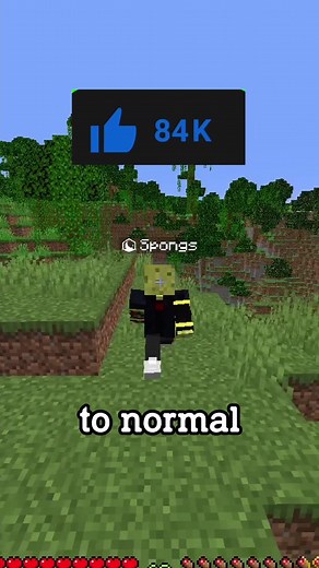 Minecraft but YOU Control my world #minecraft #minecraftmemes #minecraftbut