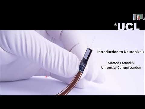 2020 Lecture 1.02 - Introduction to Neuropixels - Matteo Carandini (UCL)