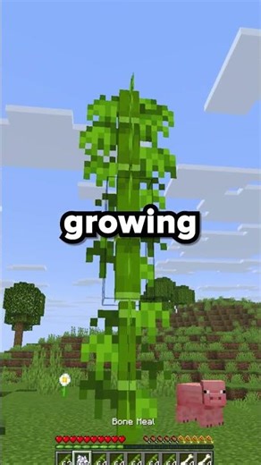 How To Take Over The HARDEST Minecraft SMP #minecraft