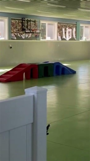 Ultimutt Inn Has Awesome Indoor Spaces - Dog Boarding and Daycare in Burton OH