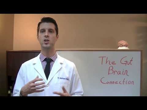 The Gut Brain Connection