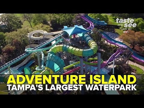 Adventure Island: Tampa Bay's largest waterpark | Taste and See Tampa Bay