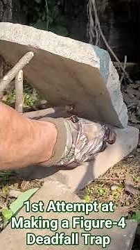 1st Attempt at Making a Figure-4 Deadfall Trap #trap #deadfall #figure #bushcraft #survival #mouse