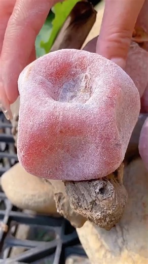 Amazing Fruits: The Most Satisfying ASMR Experience