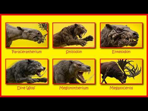 Every Prehistoric PREDATOR Mammal That Terrorized Earth Explained in 9 Minutes