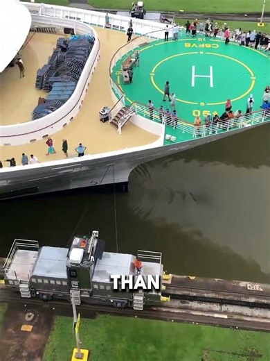 Why mules used in Panama Canal #shorts