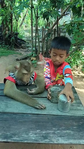 Smart monkey 🐒 is playing game with child 🐒. #animal #animals #smartmonkey #monkeylove #pets | Best Life Pets