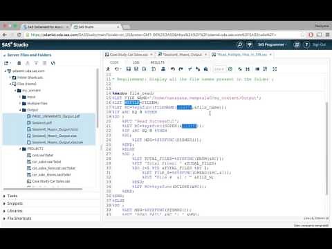 SAS Basics 9 Reading Multiple files in a DIR