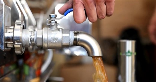 Climate change threatens maple syrup industry