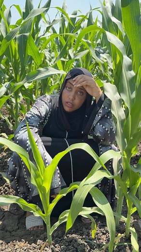 706K views · 26K reactions | حقيبة #روحوااااااااااااااااااااااااااا | الحاج عيد نعيم للكوميديا | Facebook