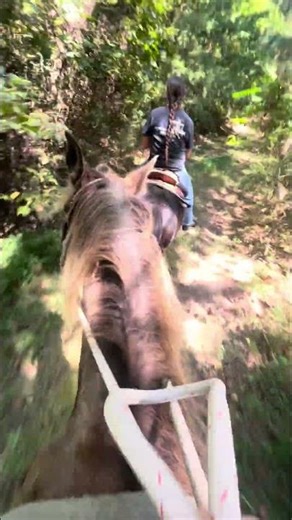 Such a fun day!! #equestrian #trailride #rockymountain #whiskey #fun