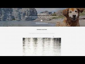 Customize your Adobe Stock contributor public portfolio page