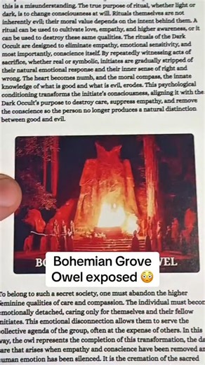 The Owl Symbol Of Dark Occultists 🦉 | Esoteric Teachings