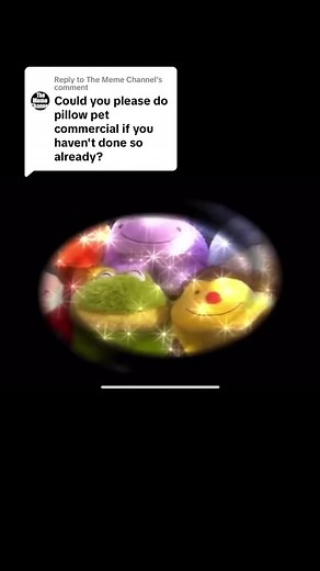 Replying to @The Meme Channel Pillow Pets Commercial 2010 #pillowpets #nostalgiccommercials #nostalgia #nostalgicposts