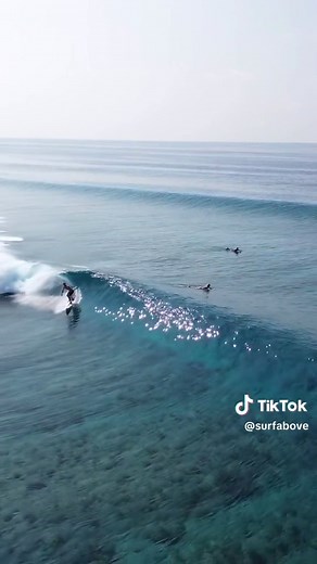SURFING PERFECT WAVES 💯 Check out LINK IN BIO for more RADNESS 🤙 Credit @islandhopmaldives @h.u.m.a.i.d.h /IG DM if you want some drone footage of you! Mahalo 🤙 #surf #surfing #surfer #fyp Bigwave surfing surf surfer DM for credit or removal request ( no copyright intended ) 🔗 All rights and credits reserved to the respective owner(s)