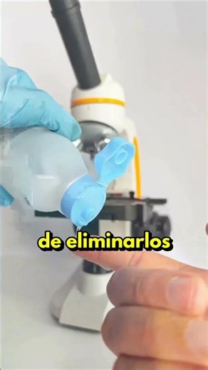 La ÚNICA MANERA de ELIMNAR los ÁCAROS de POLVO... 🔥